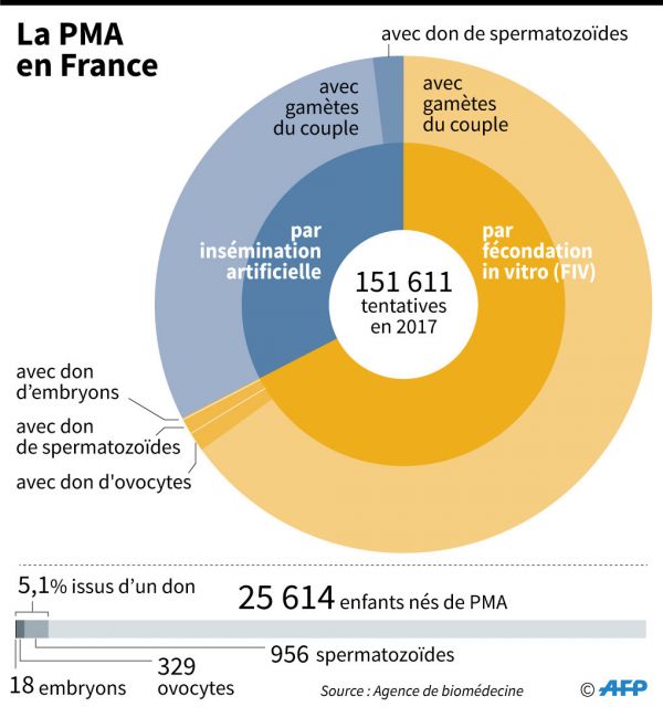 Bioéthique: la PMA pour toutes en passe de gagner la bataille du Sénat