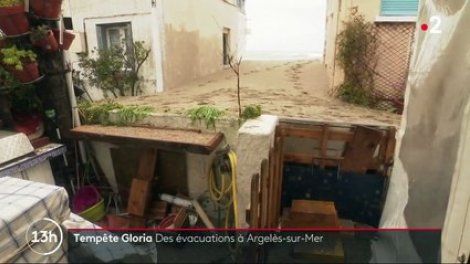 Tempête Gloria : le littoral d'Argelès-sur-Mer particulièrement exposé