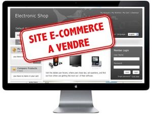 ▷ Evaluer le prix d'un site e-commerce avant de le racheter