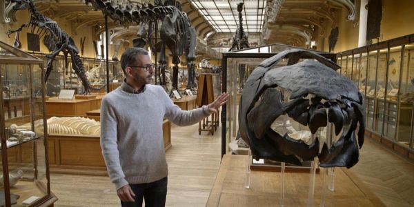 « Nos mondes disparus » : une démonstration scientifique accessible