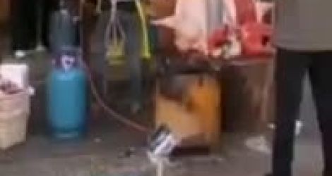 Un chien en panique totale dans une boucherie (Chine)