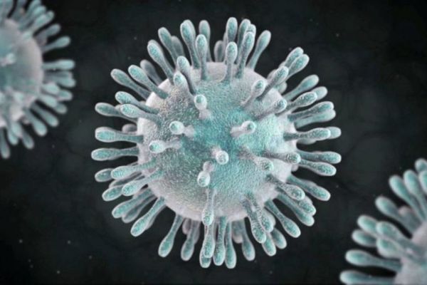 Coronavirus 2019 n-CoV : une commande de masques pour l'archipel