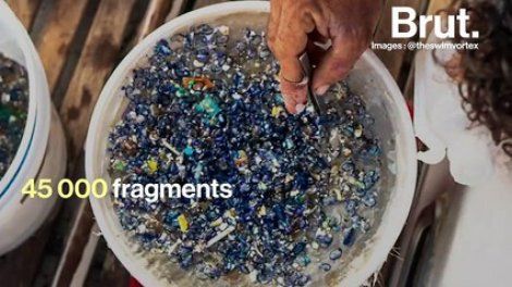Qu'a découvert Benoît Lecomte après sa traversée du continent de plastique à la nage ?