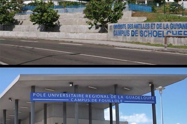Université des Antilles : le rapport qui jette un pavé dans la marre