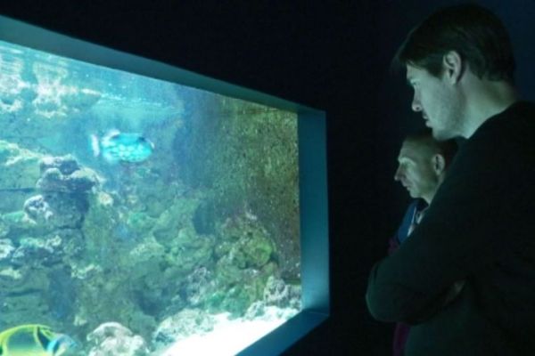 Enseignant-chercheur issu d'une famille de pêcheurs, la passion de la mer du Saint-Pierrais Fabrice Téletchéa