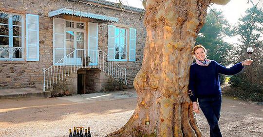 Vins - Saint-amour, toujours !