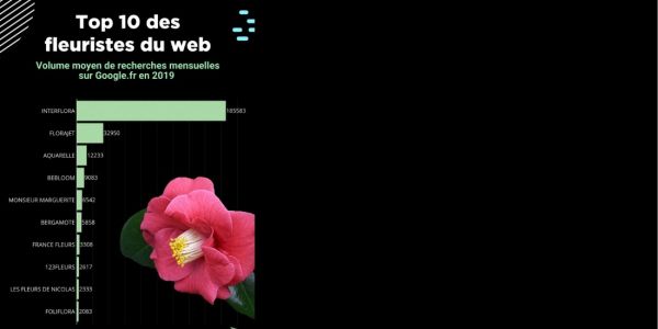 SEMrush identifie les préférences des internautes pour la Saint-Valentin