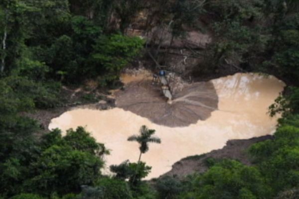 Orpaillage clandestin : les aires protégées des Guyanes échangent sur leurs stratégies de lutte