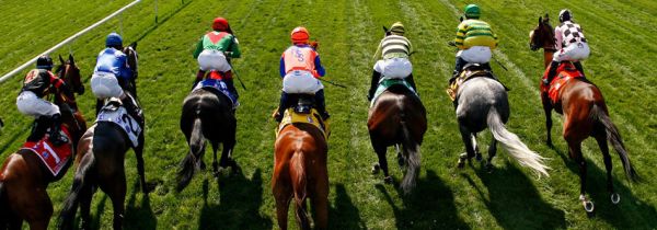 Programme de la course du samedi 15 février 2020