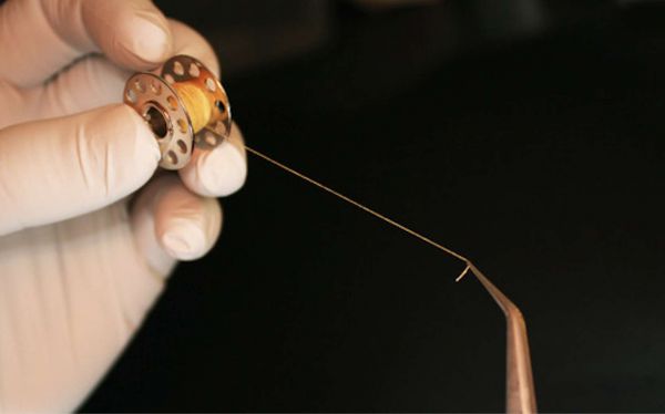 Des vaisseaux sanguins tissés avec des fils de collagène