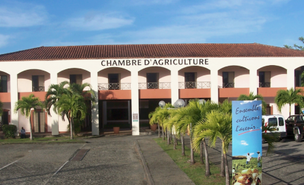 Pas de Salon d’agriculture pour la chambre d’agriculture de la Martinique
