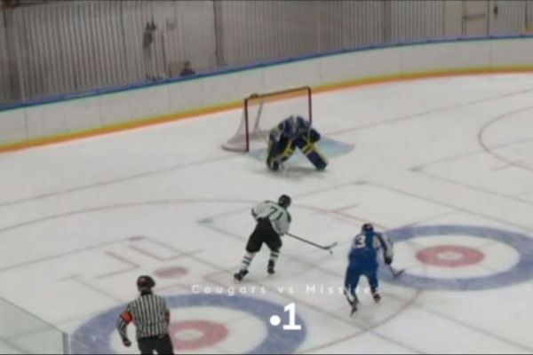 Hockey sur glace : suivez la rencontre Cougars - Missiles en direct