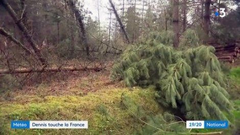 Intempéries : la tempête Dennis frappe la France