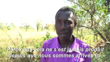 L'armée ougandaise lutte contre des invasions de criquets pèlerins