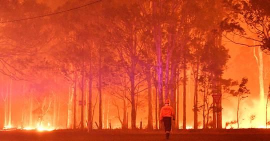 Australie : 75 % de la population impactés par les feux de forêts