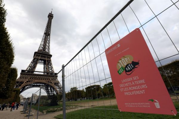 Les rats des villes entrent dans la campagne des municipales