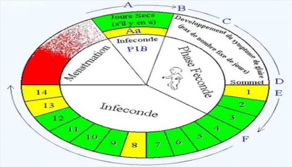 Conférence internationale Woomb à Cotonou: La méthode dovulation Billings, à lhonneur (Matin libre)
