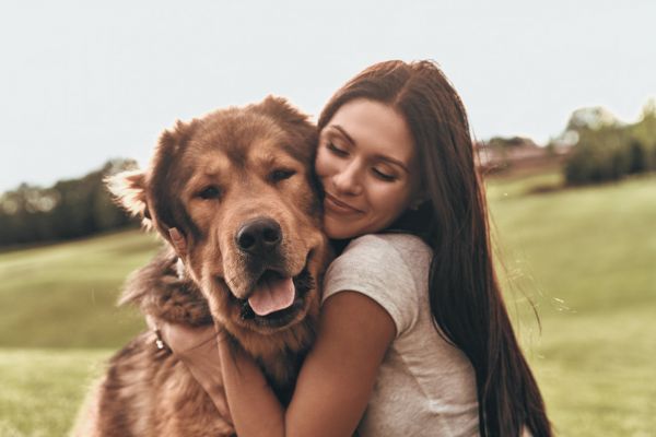 On sait pourquoi le chien est le meilleur ami de l'homme