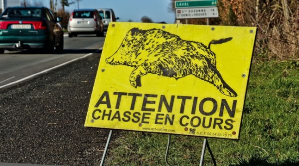 Le gouvernement prévoit-il vraiment d'ouvrir la saison de chasse dès le mois de juin ?
