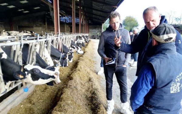 L'Édition du soir - Ces cow-boys hollandais à l'assaut des troupeaux de la région