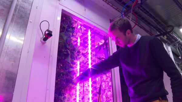 VIDÉO - Seine-Saint-Denis : à La Courneuve, ils recyclent les conteneurs maritimes en potagers connectés