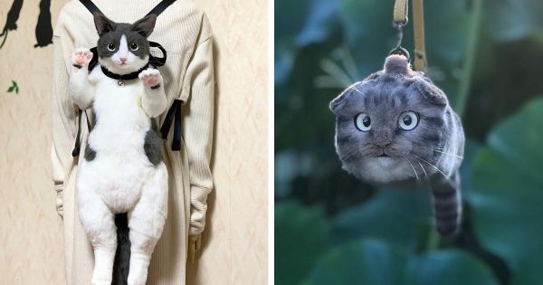 Les sacs en forme de chats sont la nouvelle mode au Japon (25 images)