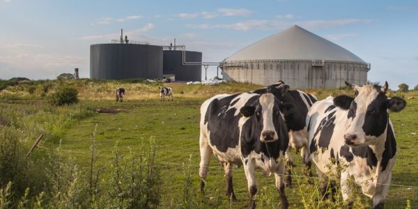 Salon de l'Agriculture : startup et grands groupes face aux nouvelles tendances foodtech