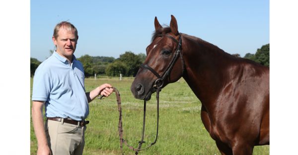 Semilly, Talma, haras d'Elle : tour d'horizon chez les étalonniers