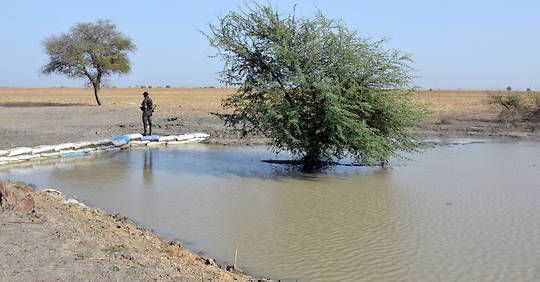 Tchad, Nigeria : Boko Haram frappe à tout va