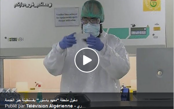 VIDÉO. Tests de coronavirus : l'annexe de Constantine de l'Institut Pasteur entre en service