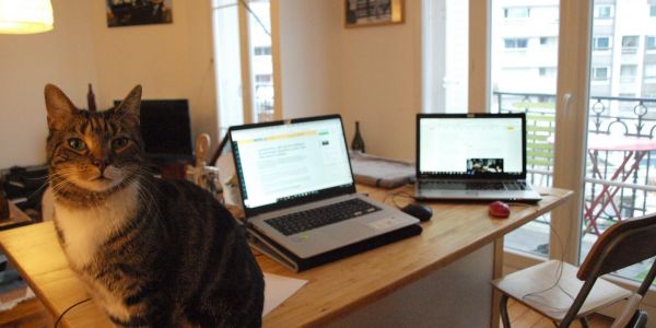 « Le Monde » au temps du coronavirus, une rédaction presque entièrement confinée