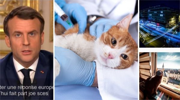 Confinement jour 13, sous-titrage de Macron, vaccins des animaux, le récap' de l'actu à Caen du 29 mars