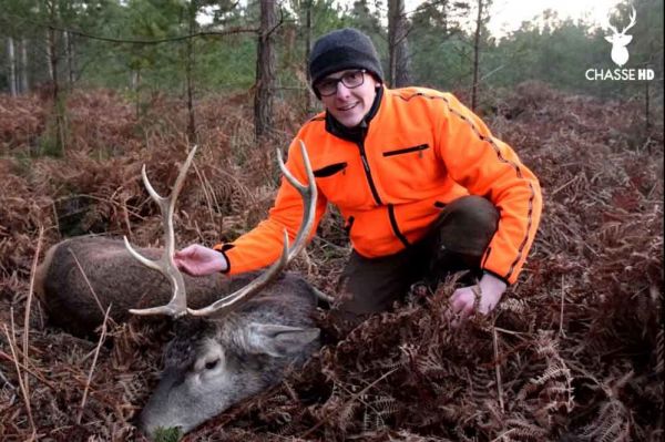 Magnifique tir d’un cerf en battue