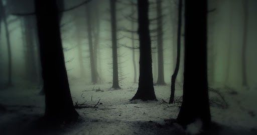 Tous les chemins mènent à un hiver sombre