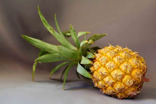 5 remèdes naturels brûleurs de graisse