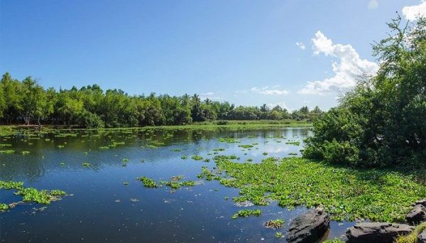 Seconde édition du concours photo : "Les zones humides de La Réunion”