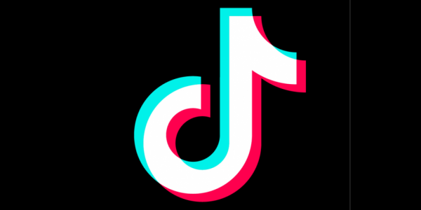Une vidéo TikTok se moquant du tatouage des déportés vue plus de 600 000 fois