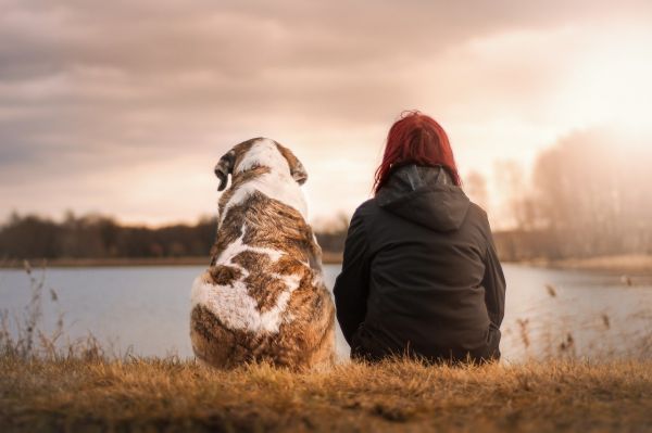 Liban/Coronavirus: Des chiens pour détecter le virus?
