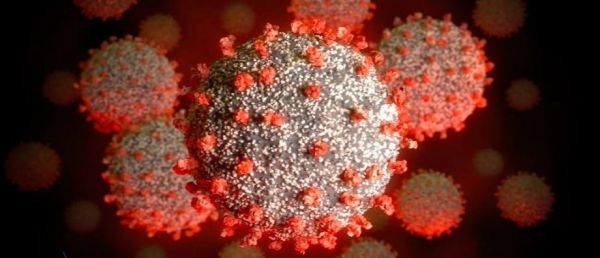 EN DIRECT - Coronavirus - La France compte 208 foyers de contamination actifs, selon la Direction générale de la Santé - Emmanuel Macron réunira vendredi un Conseil de défense sur la crise [...]