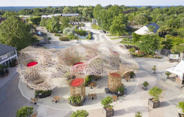La plus grande structure en bambou d'Europe se pose à Angers