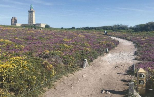 Observer - Le phare aiguille vers le bestiaire marin