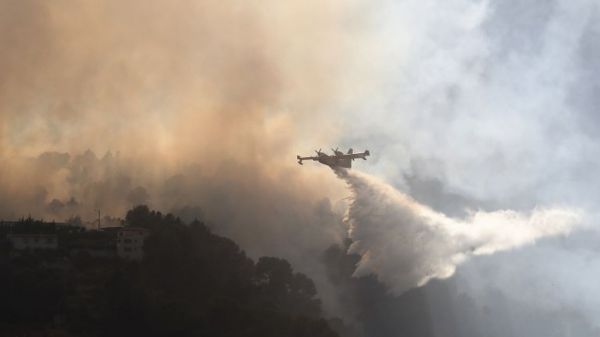 Feux de forêt : mégot pas éteint, débroussaillage, balades en forêt... les règles pour éviter l'incendie