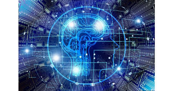 [Avis d'expert] Social engineering et cyberattaque : quand le cerveau devient la cible !