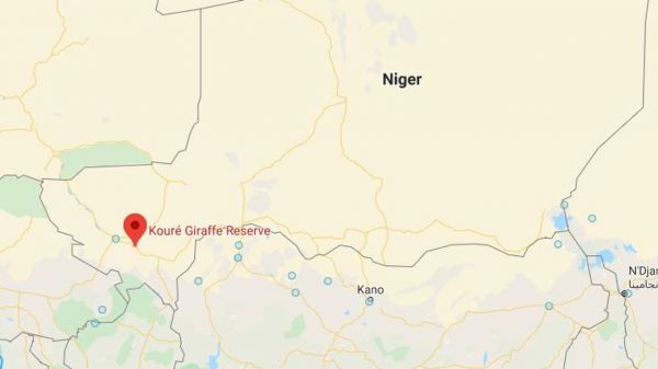 Français tués au Niger : "Le Sahel est la nouvelle porte d'entrée de l'islamisme radical"