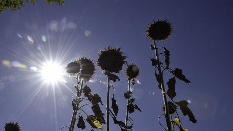 Météo : quand la canicule va-t-elle se terminer ?