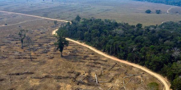 La déforestation de l'Amazonie s'accélère et pourrait la conduire à « un point de non-retour »
