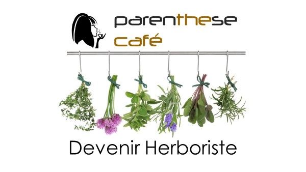 Devenir herboriste et s'initier à la médecine douce - VDI