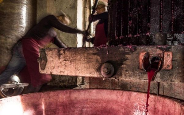 Un viticulteur meurt après être tombé dans une cuve à vin
