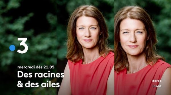 « Des racines et des ailes » du 16 septembre 2020  : ce soir « Terroirs d'excellence en Provence »