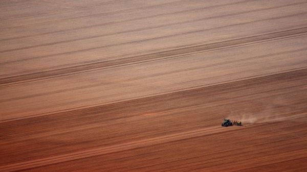 TRIBUNE. Des "risques majeurs sur le climat" : des ONG réclament l'abandon de l'accord entre l'Union européenne et le Mercosur